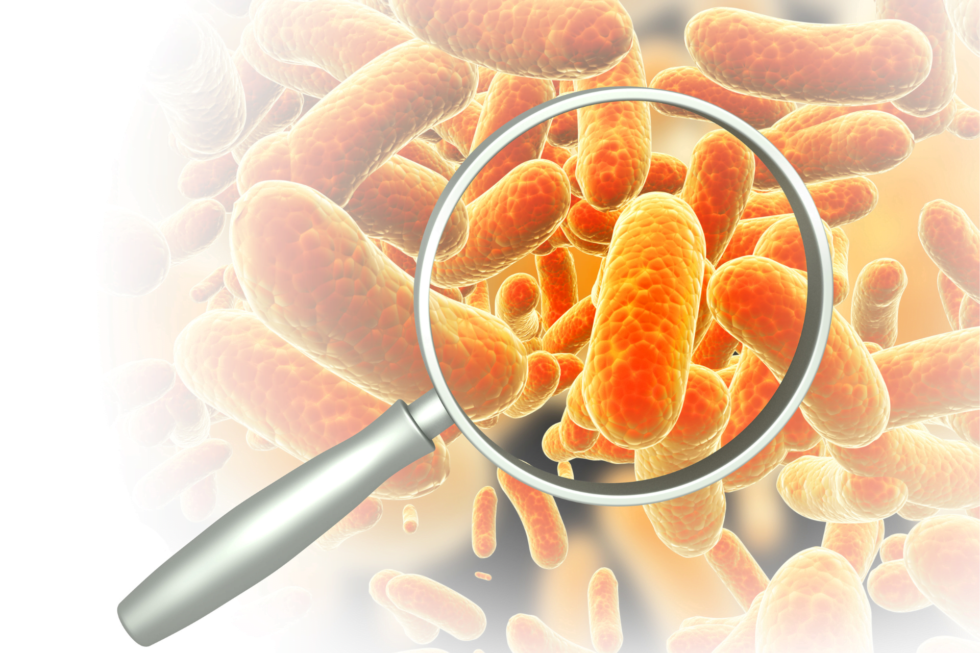 bacterias-intestinais