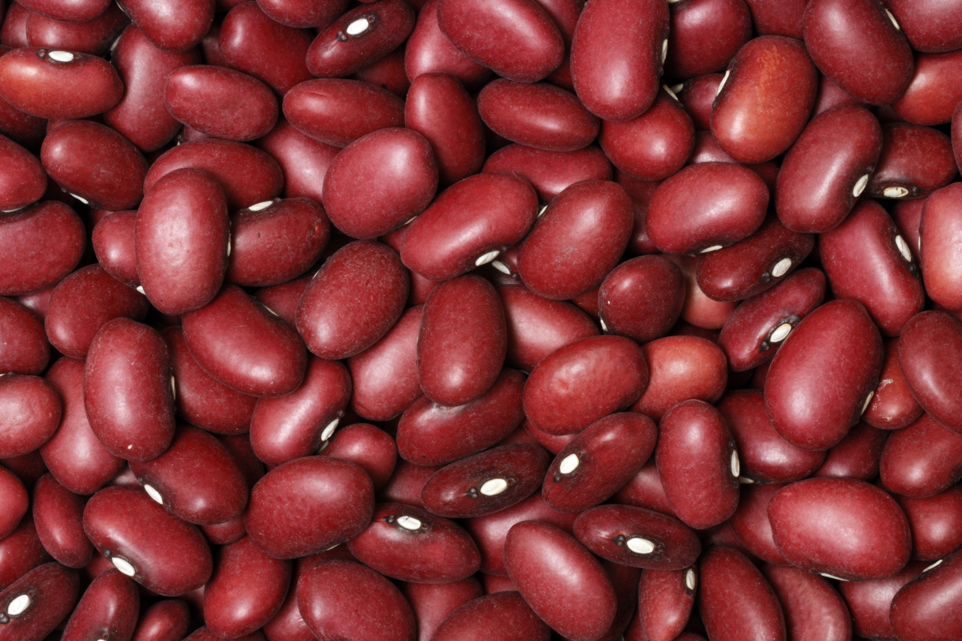 FEIJÃO VERMELHO